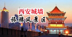 gaywwwfree中国陕西-西安城墙旅游风景区